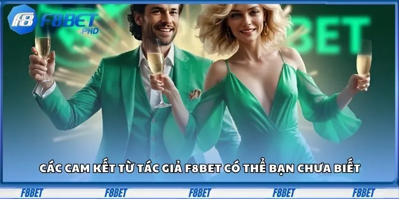 Cam kết từ đội ngũ tác giả